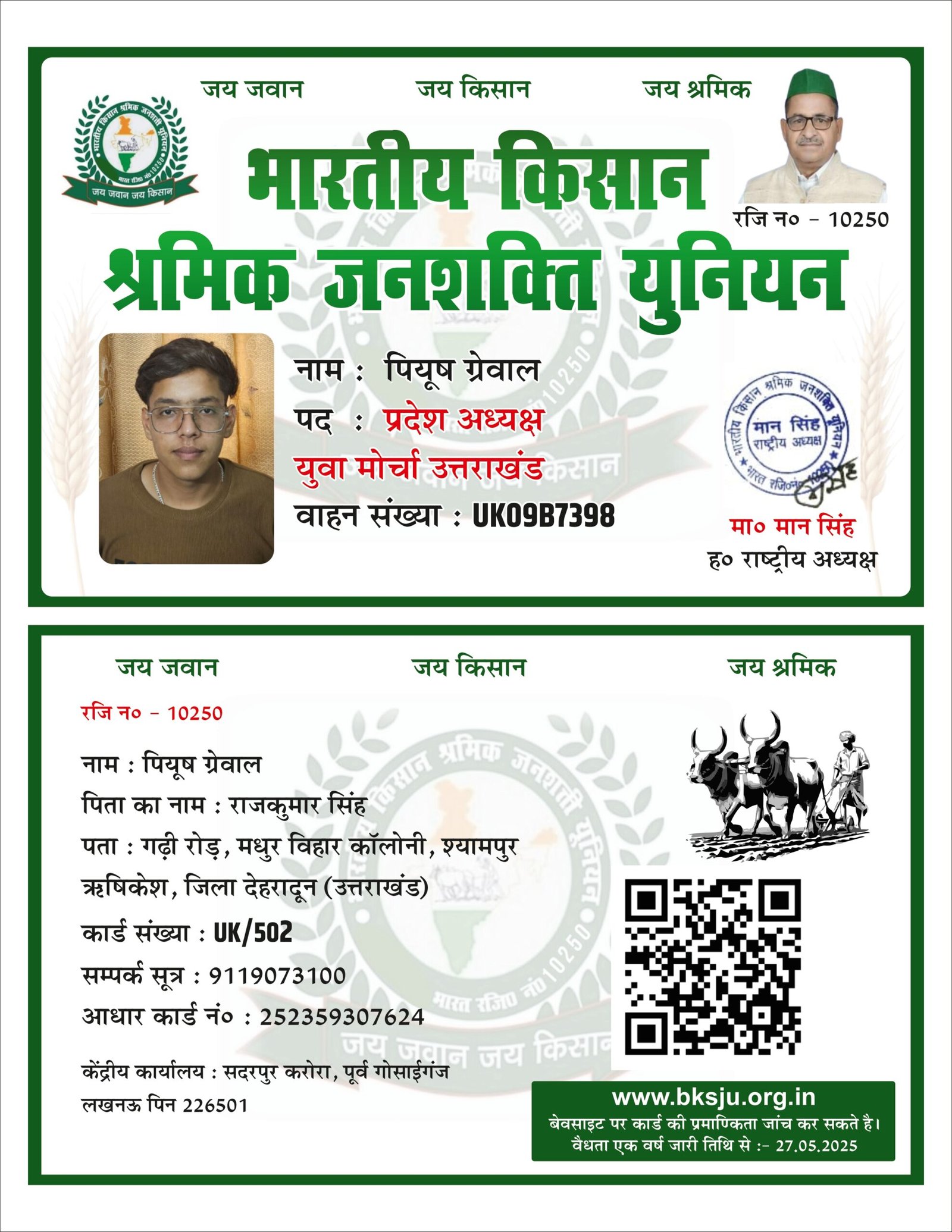 Example Image