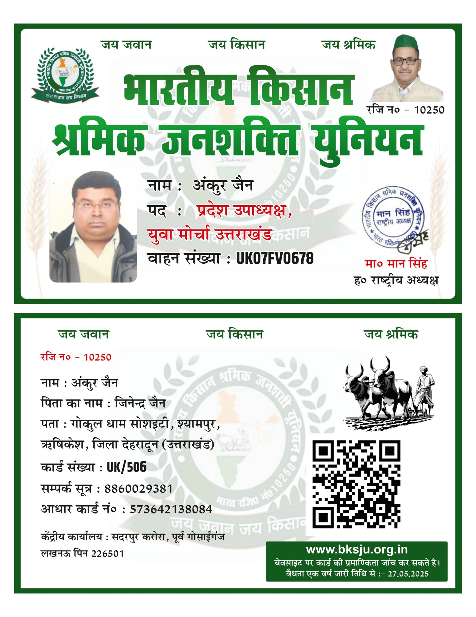 Example Image